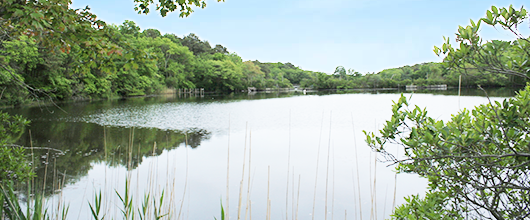CampEdey-Lake CampEdey-Lake