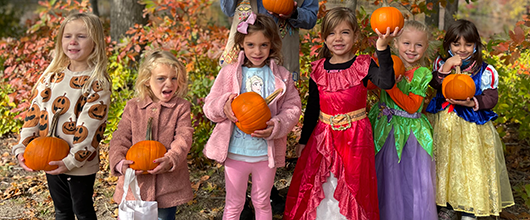 pumpkinpatch Pumpkin Patch