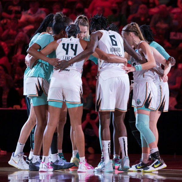 WNBA NY Liberty's Girl Scout Day