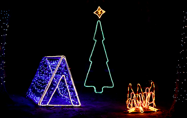 Girl scouts light show 2018 sales